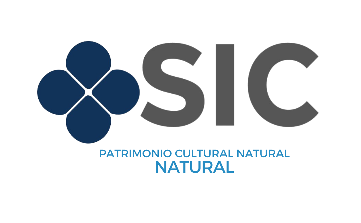 Ir a la ficha de registro individual