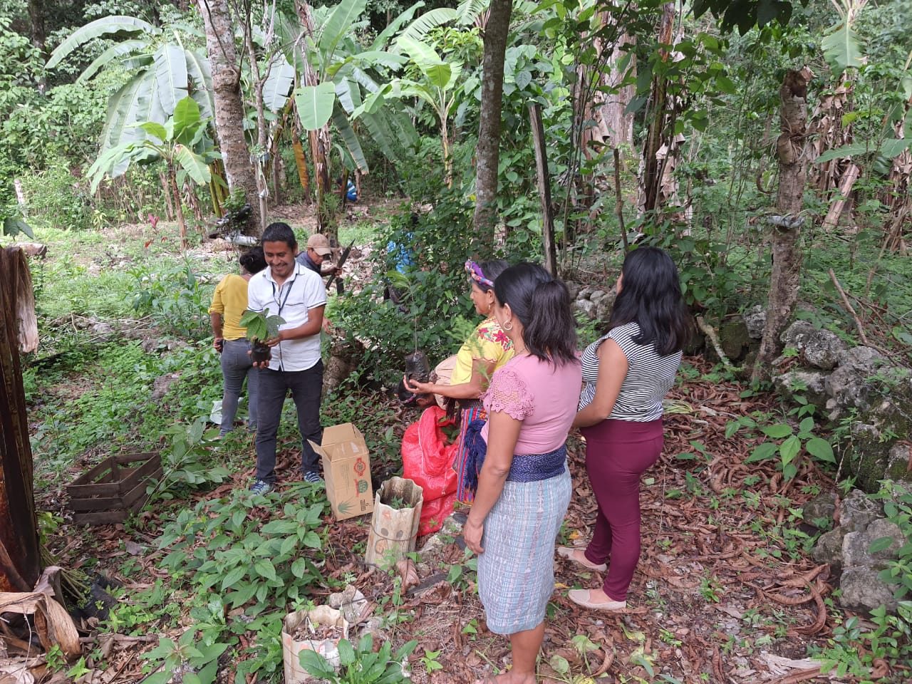 Jornada de reforestación en un área protegida en la aldea Chejbal del municipio de Jacaltenango