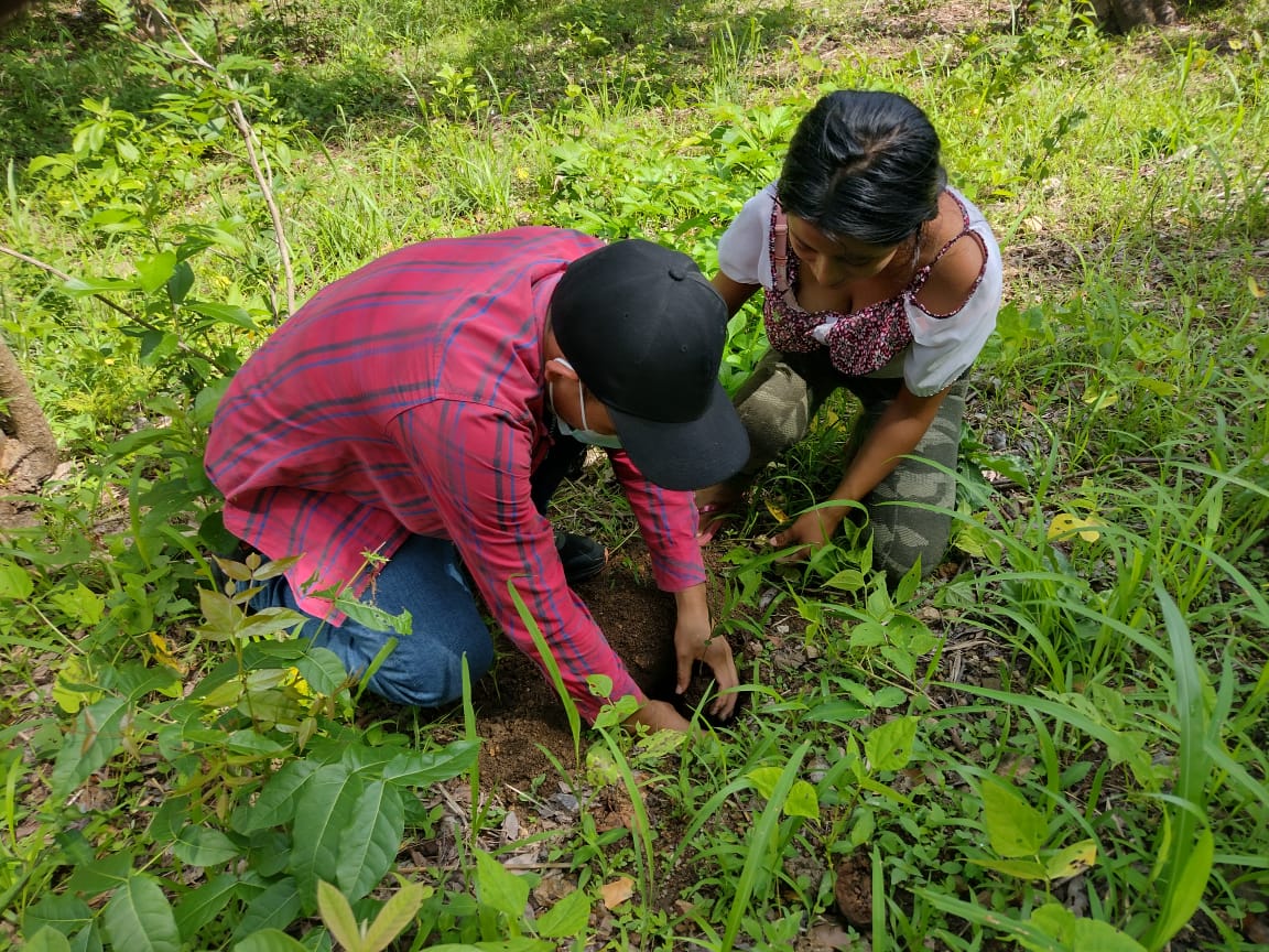 Jornada de reforestación