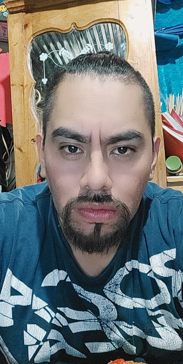 Cantante Profesional