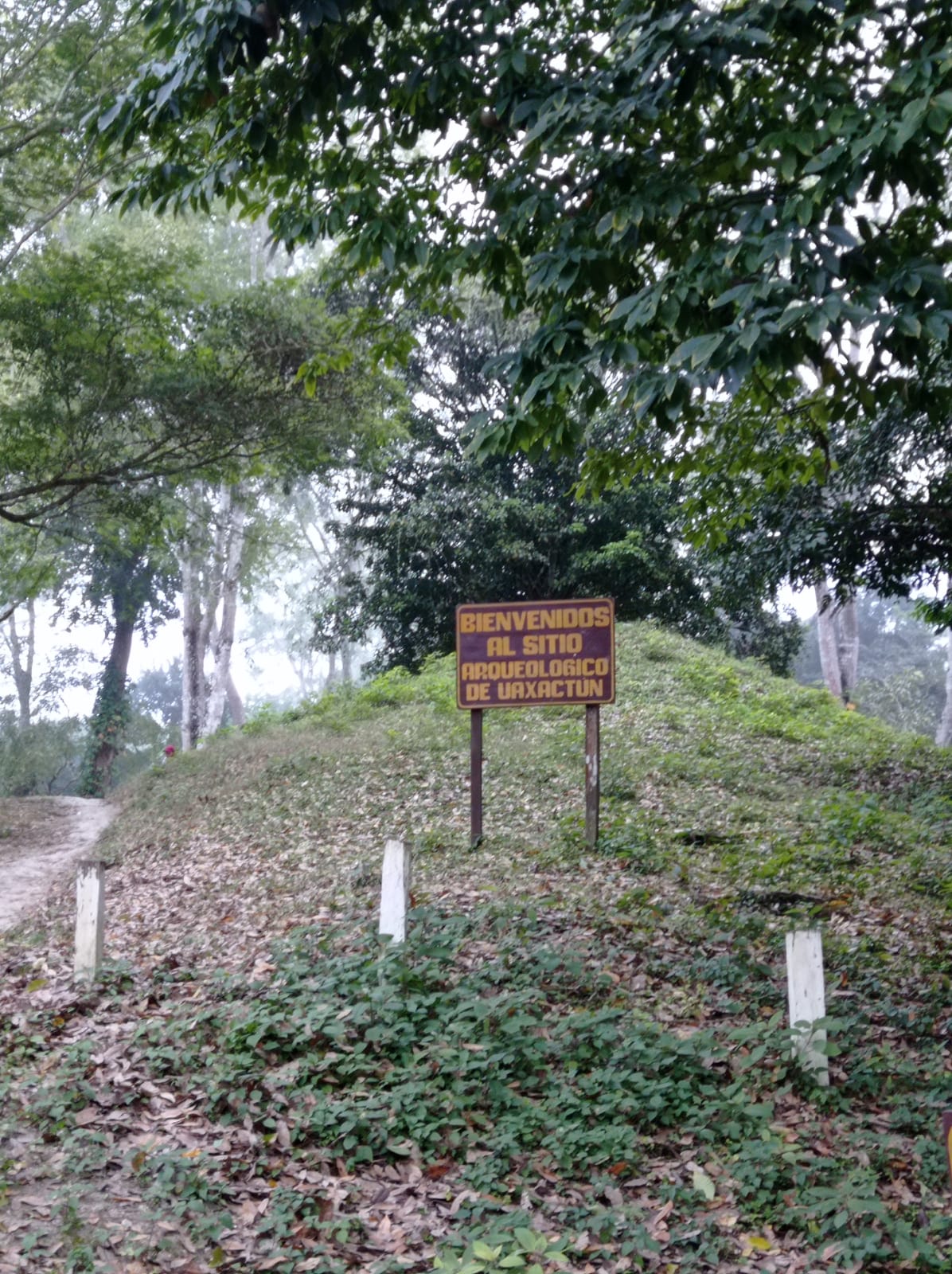 Visita al Sitio Arqueológico Uaxactún en Flores, Petén