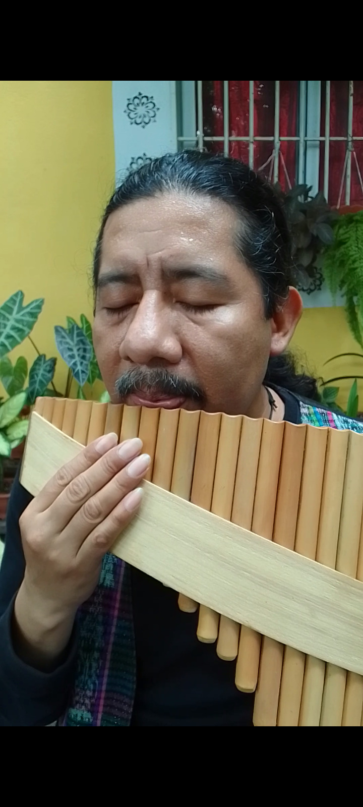 Probando una Pan Flauta W.M.